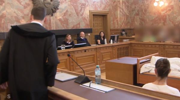 Austria. Tânăr român, închis după mai multe gesturi dubioase: I-a mușcat urechea unei cunoștințe, a stropit cu vopsea o casă și a deteriorat sculpturi