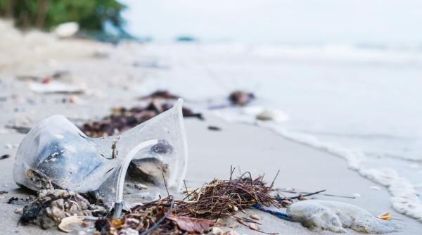 O profesoară și-a luat concediu un an pentru a curăța Mediterana: a strâns 3 tone de plastic în 7 luni