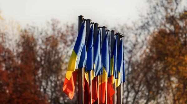 Ce cred românii din diaspora: A făcut statul tot ce trebuia să-i aducă înapoi acasă? - Rezultat sondaj