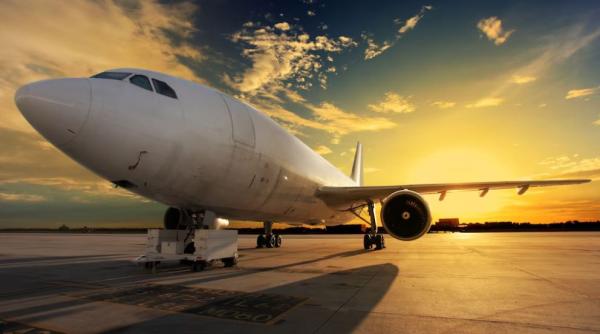 Clipe de groază pentru pasagerii unui avion: O pasăre a intrat într-unul dintre motoare, în timp de aeronava cobora cu viteză pe pistă