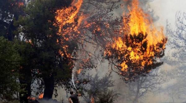 Incendii de pădure în Grecia: 1.200 de copii au fost evacuați din taberele de vacanță