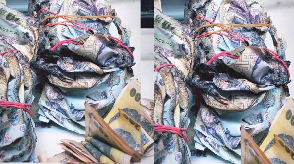 Un român a dus trei teancuri de bancnote arse la BNR. Cum a reacționat banca la gestul bărbatului