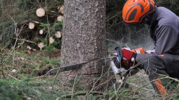 Muncitor român, mort după un grav accident de muncă într-o pădure din Austria