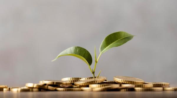 Germania a ieşit din recesiune, chiar dacă PIB-ul a stagnat. Oficiul federal de statistică: cheltuielile de consum s-au stabilizat 