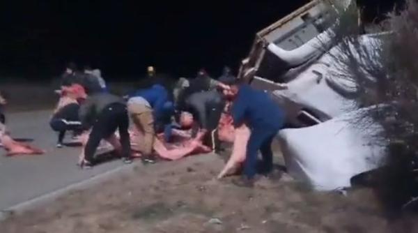 Camion încărcat cu 23 de tone de carcase de porc, jefuit de zeci de persoane, după ce s-a răsturnat / VIDEO