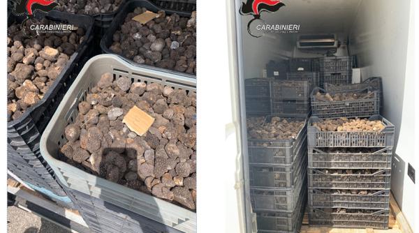 Român prins în Italia cu peste două tone de trufe negre, aduse din România: Diamantele culinare valorează peste 170.000 de euro