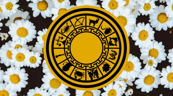 Horoscop zilnic, 1 august 2023. Scorpion, ești cuprins de gelozie. Gemeni, ai parte de întâlniri surprinzătoare. Previziuni complete