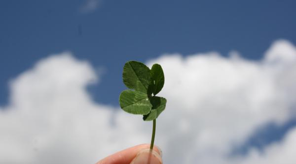 Horoscopul Norocului: Previziuni pentru weekendul 12-13 August. Berbec, norocul pare să-ți zâmbească. Fecioară, iei alegeri financiare înțelepte