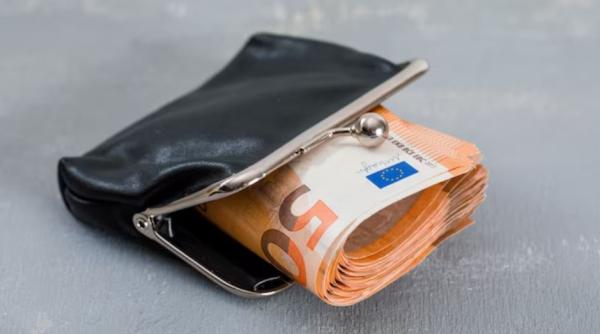 De frică unor hoți români, o femeie din Germania a ascuns banii în niște coșuri de gunoi. Polițiștii caută martori