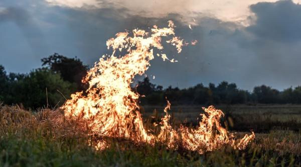 Spania: Patru sate, evacuate din cauza incendiului din parcul național Tenerife