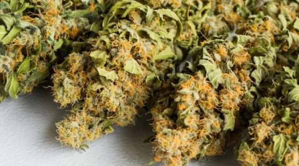 Trei români au primit din Spania un colet cu 5,5 kg de canabis. Reacția polițiștilor