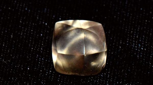 O fetiță a găsit un diamant de 2,95 carate, într-un parc, în timpul unei excursii: „Printre cele mai frumoase”