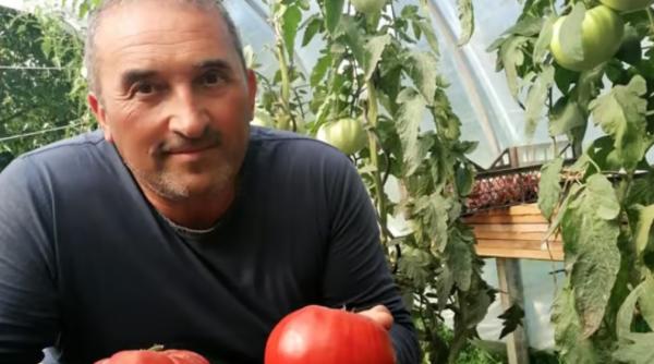 Un român a uimit Germania cu roșiile românești gigantice pe care le cultivă în grădina sa din Berg