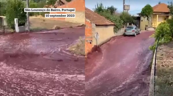 Un sat din Portugalia, inundat de două milioane de litri de vin roșu. Iată cum a fost posibil