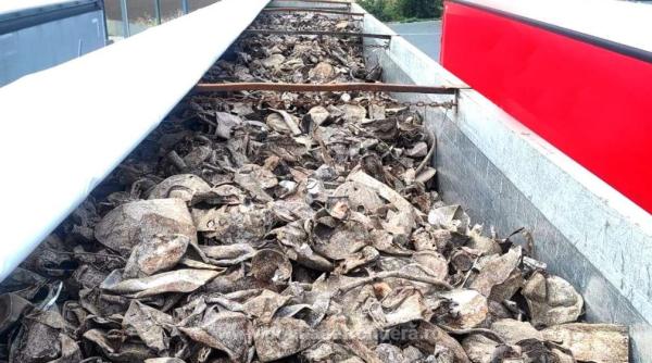 Peste 23 de tone de deşeuri trimise de Germania în România, blocate la intrarea în țară