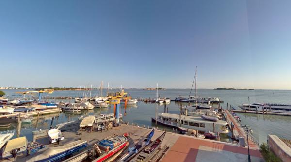 Atenție la pescăruși! Turiștii din Veneția sunt avertizați de autoritățile locale într-un mod inedit