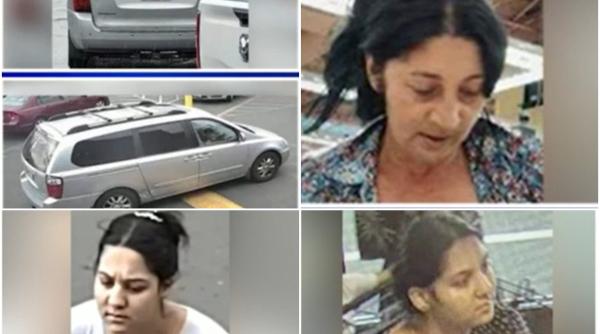 Grup de hoți români, urmărit de poliție în SUA. Fură lapte praf din magazine, sparg biserici și vând aur fals