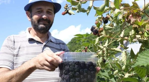 "În Bistrița e ca la Madrid". Român întors în țară după 20 de ani, uimit de ce a găsit acasă: "Oameni buni, chiar s-au schimbat lucrurile" - VIDEO