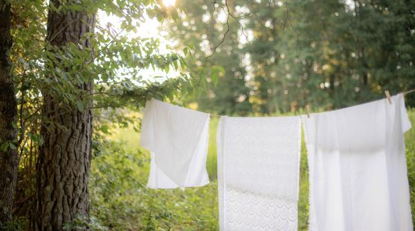 Cât de des ar trebui să vă spălați așternuturile pentru a evita ploșnițele de pat. Infestarea lovește mai multe țări