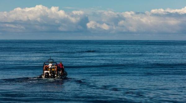 Doi turiști au salvat 27 de migranți în largul coastei Lampedusei: „Nu se puteau opri din plâns” 