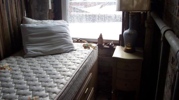 Invazia de ploșnițe de pat ar putea ajunge și în România. Patron de hotel: „Am aruncat paturi, saltele. Sunt costuri enorme” 