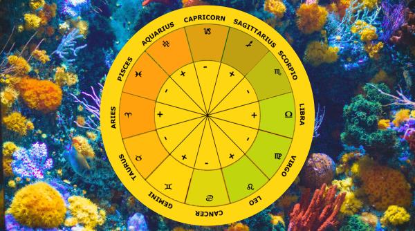 Horoscop 11 octombrie: Balanță, intuiția ta te va duce pe drumul cel bun. Pești, aveți grijă la sănătate. Previziuni complete