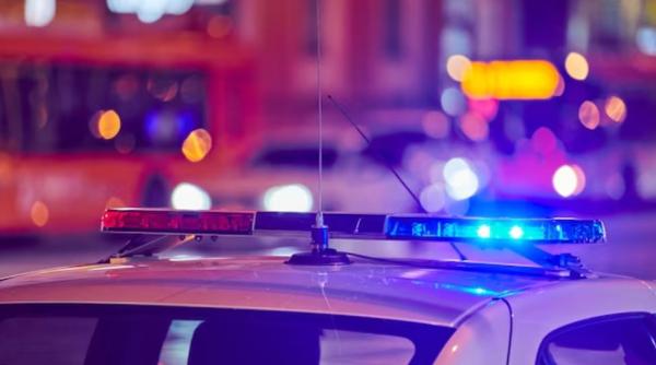 Românca care a comis mai multe infracţiuni în Ţările de Jos, prinsă de poliţişti la Moineşti