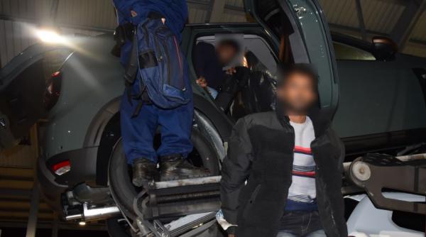 Opt migranți s-au ascuns în mașinile noi transportate pe trailer și au încercat să intre în Ungaria