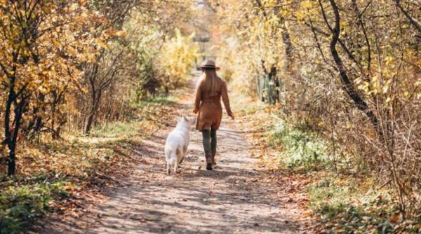 Horoscop 23 octombrie: Taur, nu te lăsa copleșit de sentimente negative. Săgetător, primești o energie incredibilă. Previziuni complete