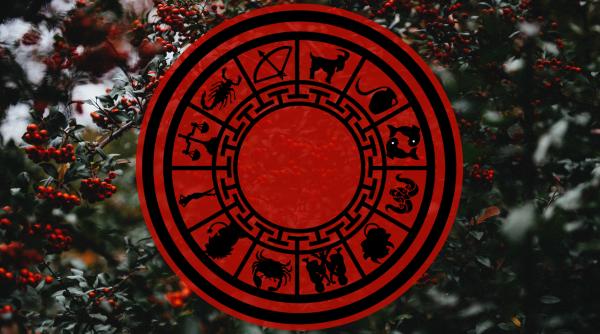 Horoscop 25 octombrie 2023: Vărsătorii au nevoie de o pauză, sunt epuizați. Balanțele riscă tot pentru fericire. Previziuni complete