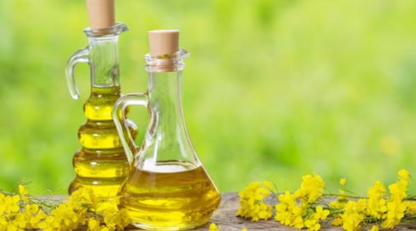 Uleiul de măsline ar putea devenit un produs de lux. Eșecul recoltelor din Spania, Italia și Grecia crește prețurile