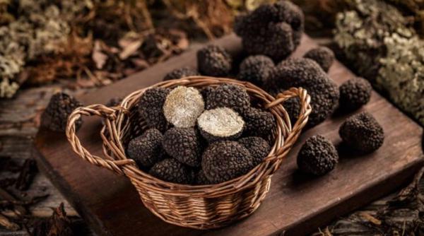 Un șofer român urmărit ca-n filme după ce nu a oprit la semnalul polițiștilor: bărbatul avea în mașină 90 de kilograme de trufe negre