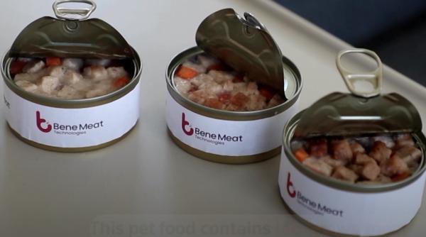 Mâncare pentru animale cu carne crescută în laborator. Uniunea Europeană a dat undă verde