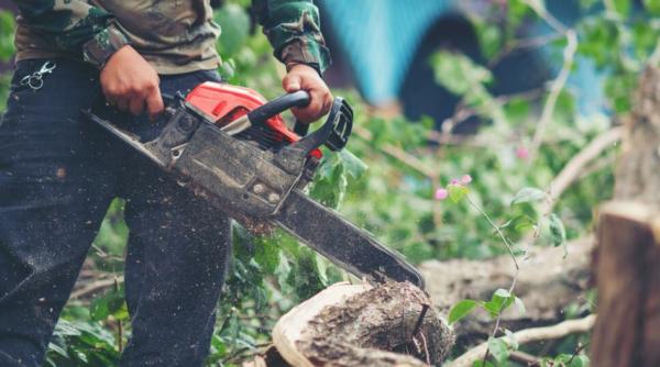 A plecat în Austria, la 18 ani, în căutarea unui trai mai bun, dar a pierit strivit de un copac. Poliția n-a găsit un vinovat pentru tragicul accident