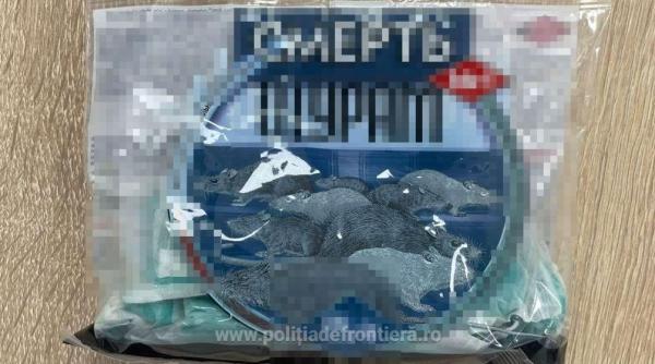 Dosar penal pentru o șoferiță, care a încercat să introducă în România 10 kilograme de otravă pentru rozătoare