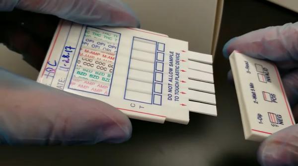 Testarea antidrog în școli. Fost ministru al Educației: „Copiii au adus drogurile în această ţară? Responsabilii sunt în altă parte“