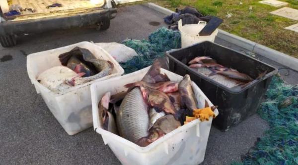 Italia. Trei braconieri români, prinși cu peste 600 de kilograme de pește