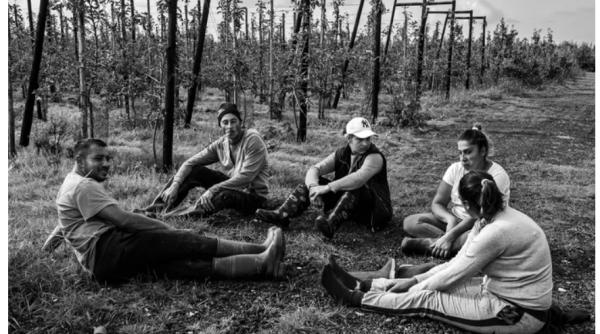 „Nomazii Orientului“. Imaginile cu muncitori români care au emoționat Olanda: „Mâini aspre, zile lungi de lucru și supă de cartofi la cină“