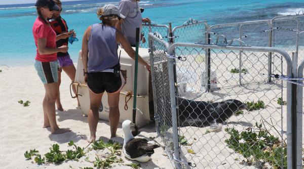 Povestea de succes a Elenei, o imigrantă româncă: de la o simplă angajată în acvacultură în Spania, la o funcție de conducere