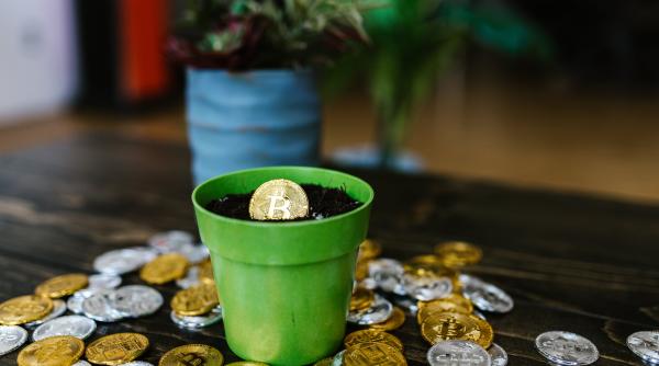 O îngrijitoare româncă din Italia a pierdut peste 85.000 de euro. Afacerea care a dus-o la sapă de lemn