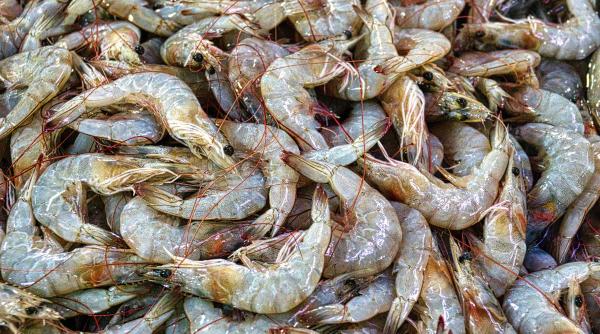 Creveți în foietaj, un aperitiv elegant pentru sărbătorile de iarnă