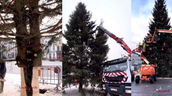 Tragedie la un târg de Crăciun din Belgia: bradul a căzut peste o femeie, care a murit pe loc