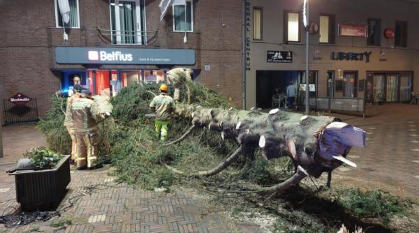 Un brad Crăciun s-a prăbușit într-o piață din Belgia. Primar: Ne gândim dacă vom mai investi în brazi atât de înalți!