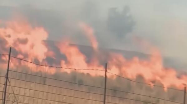 Incendiu izbucnit lângă Ferma Dacilor. Focul a cuprins sute de metri de teren