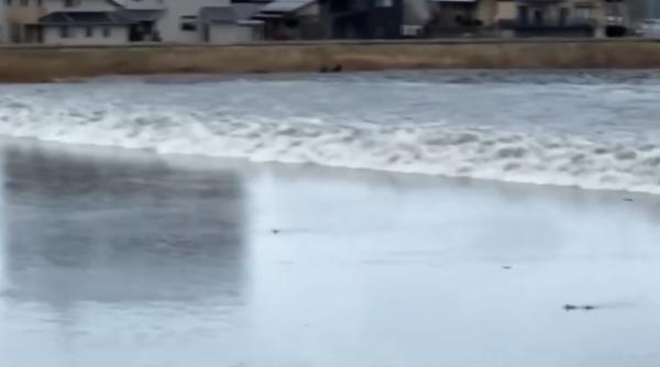 Cutremur în Japonia: 4 morți confirmate, alertă de tsunami și peste 100 de cutremure și replici după tragedie