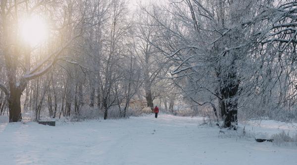 Horoscop pentru 3 ianuarie: Balanță, vei rămâne fără bani. Vărsător, vei primi o veste neplăcută. Previziuni complete
