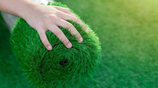 Germania interzice gazonul artificial în grădinile private. Expert: îngreunează viața albinelor și păsărilor
