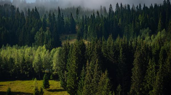 Topul celor mai populate țări din Europa: România ocupă locul nouă în clasament