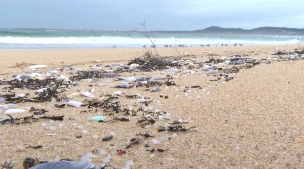 Stare de urgenţă în nordul Spaniei, din cauza peletelor de plastic prezente pe plajă - VIDEO
