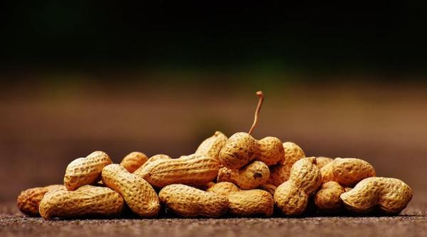 O pasageră alergică la alune a cumpărat toate pachetele din avion ca nimeni să nu le consume lângă ea: „Personalul a refuzat să mă protejeze”